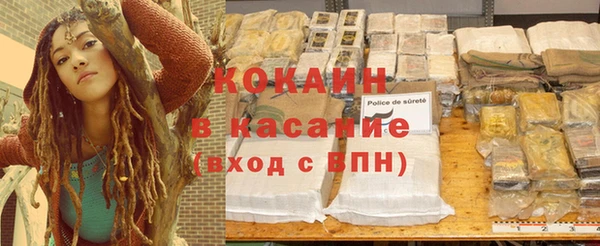 гидра Горно-Алтайск
