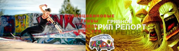 гидра Горно-Алтайск