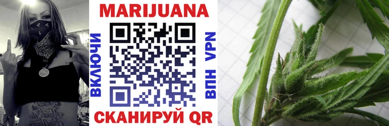 Каннабис планчик Ставрополь